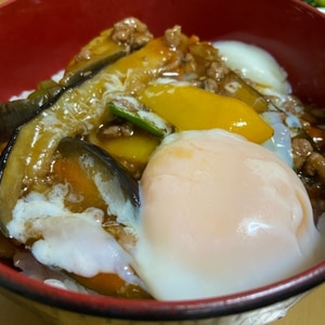 ナスの消費に(＾＾)簡単麻婆ナス丼